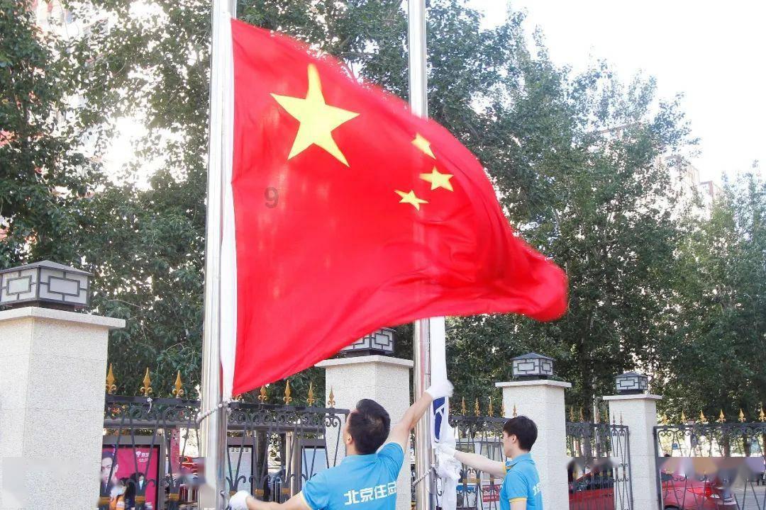 拯救昆虫群