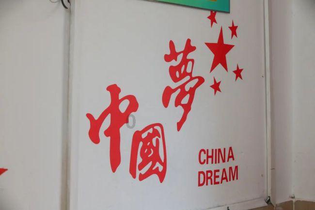 我市去年共审批项目环评449个